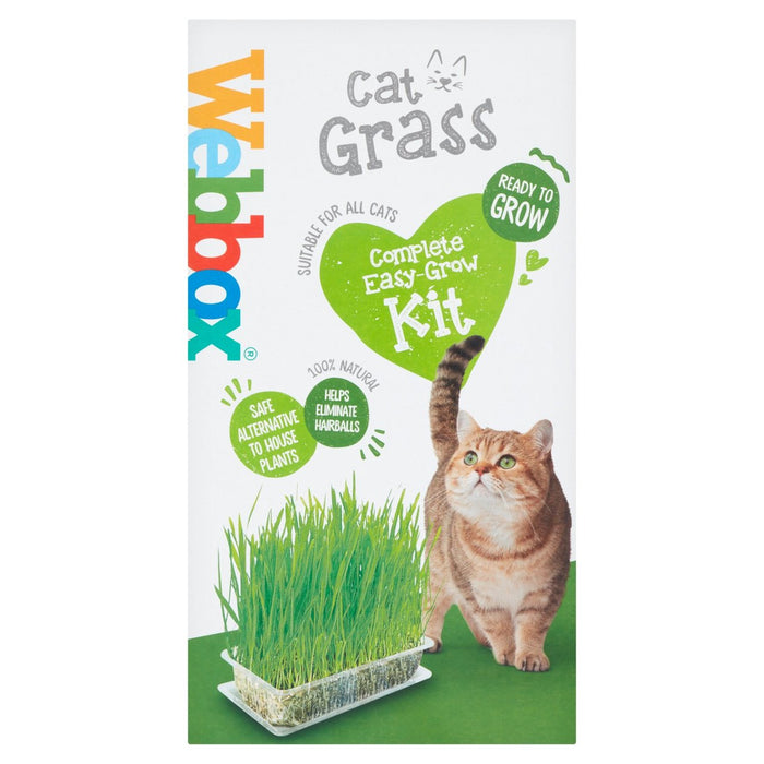 Webbox Cat Grass Complete Fácil Grow at Home Kit